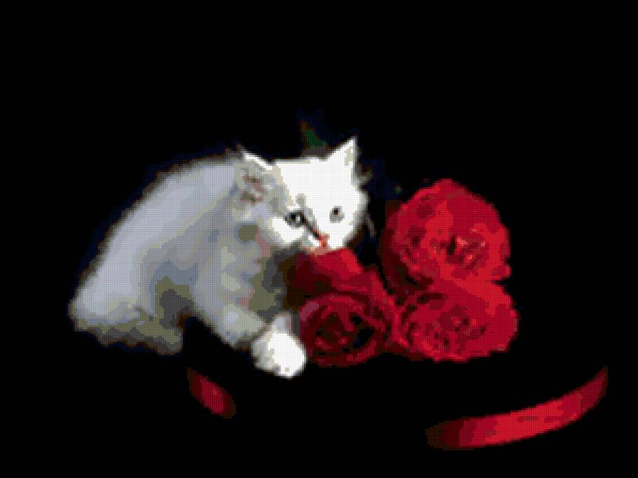 25 - кися - предпросмотр