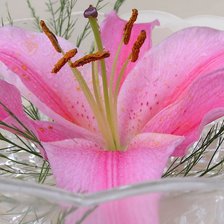 Схема вышивки «28»