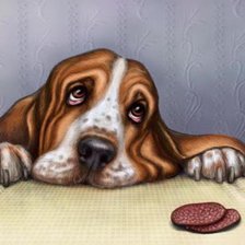 два кусочека колбаски