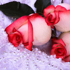 Схема вышивки «роза»