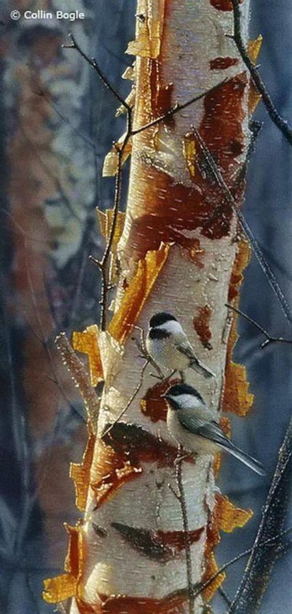 птички синички - птицы, картина - оригинал