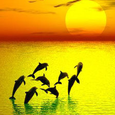 Схема вышивки «дельфины на закате»