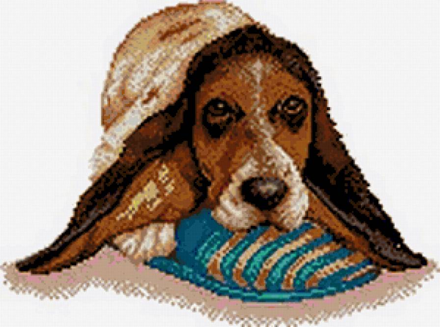 Собачка - предпросмотр