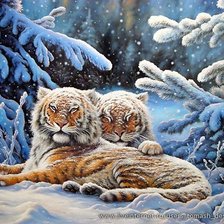 Схема вышивки «тигр»