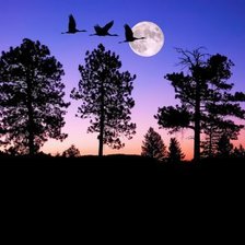 Схема вышивки «ночь»