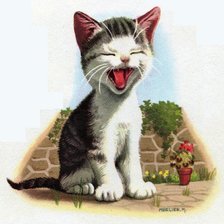 Схема вышивки «№199594»