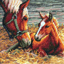 Жеребенок с мамой