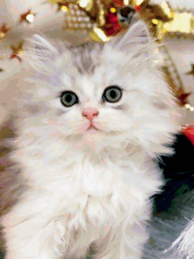 котенок4 - животное, кошка, котенок - предпросмотр