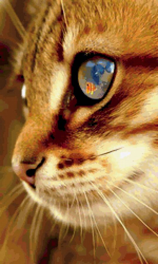 котенок3 - котенок, животное, кошка - предпросмотр