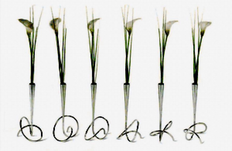 каллы. Ваза петля. - калла, цветы - предпросмотр