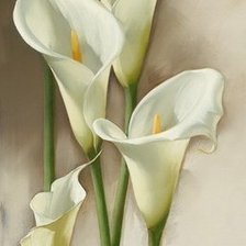 Схема вышивки «Цветы»