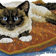 Схема вышивки «сиамчик»