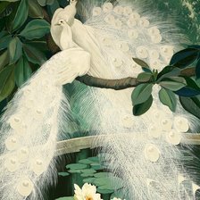 Схема вышивки «павлины»