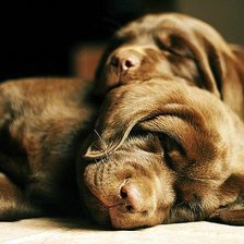 Схема вышивки «сонное царство»