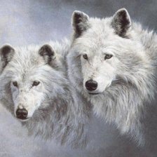 Схема вышивки «Волки»