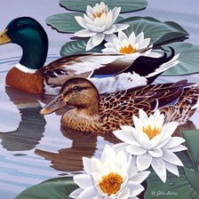 Схема вышивки «Уточки»