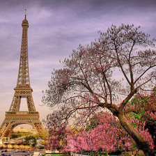 Схема вышивки «париж весной»