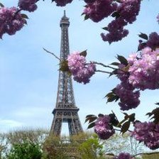 Схема вышивки «париж весной»