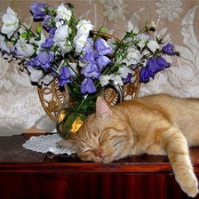 Схема вышивки «натюрморт»