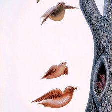 Схема вышивки «девушка»