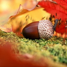 Схема вышивки «осень»