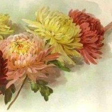 Схема вышивки «Хризантемы. Фрагмент 3»