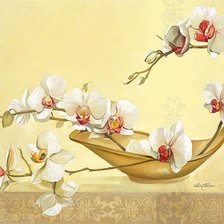 Орхидеи