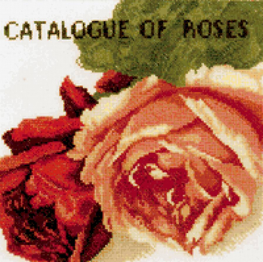 Роза - винтаж, розы, цветы - предпросмотр