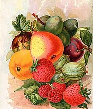 Схема вышивки «Фрукты»