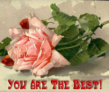 Схема вышивки «Роза»