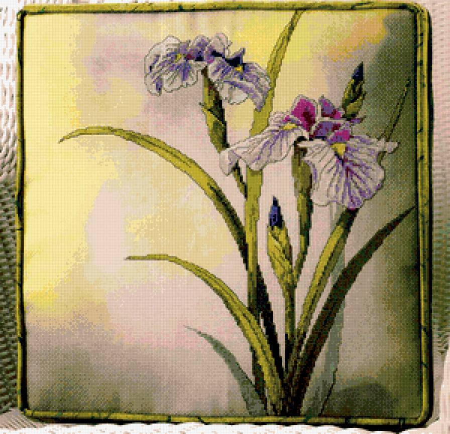 Нежные ирисы - букет, цветочное, цветы - предпросмотр