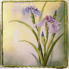Нежные ирисы
