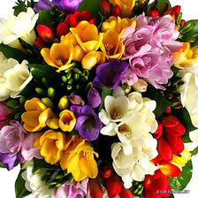 Схема вышивки «Букет фрезий»