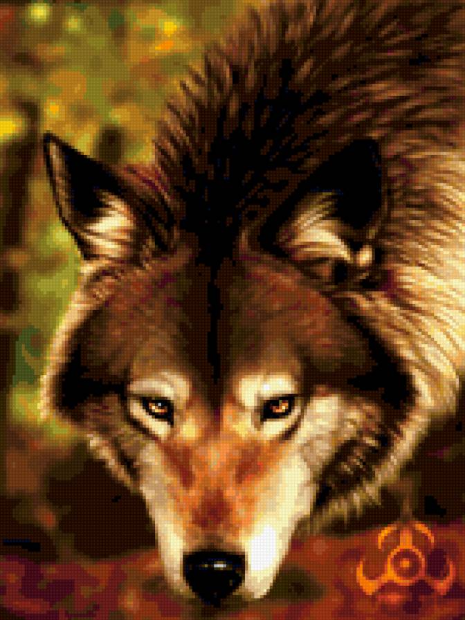 0047 - красота, картина, лето, животные, волки - предпросмотр