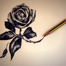 Схема вышивки «роза»