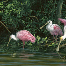 Схема вышивки «№201184»