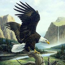 Схема вышивки «Коршун»