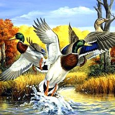 Схема вышивки «Дикие утки»