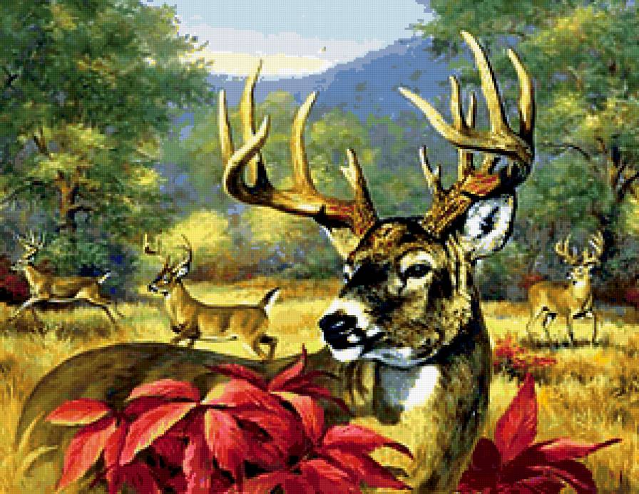 Олень - олень, лес - предпросмотр