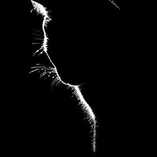 Схема вышивки «№201467»