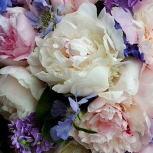 Схема вышивки «Пионы»