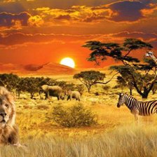 Схема вышивки «Африка»