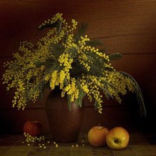 Схема вышивки «мимоза»