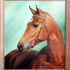 Схема вышивки «Лошадь»