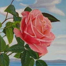 Схема вышивки «розы»