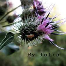 Схема вышивки «№201991»