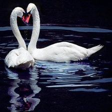 Схема вышивки «№202067»