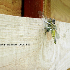 Схема вышивки «№202124»