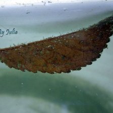 Схема вышивки «№202128»