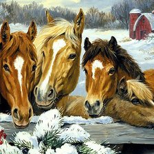 Схема вышивки «Лошадки»